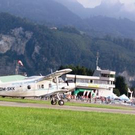 3618752.jpg