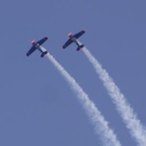 3618760.jpg