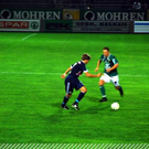 3624158.jpg