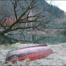 Biotop Levner Weiher