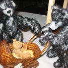 IMG_8846.JPG