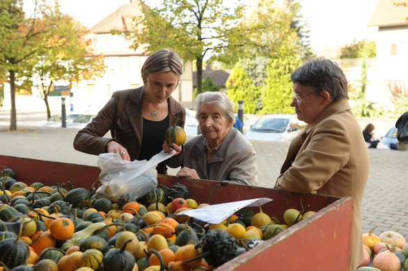 Kuerbismarkt06.jpg