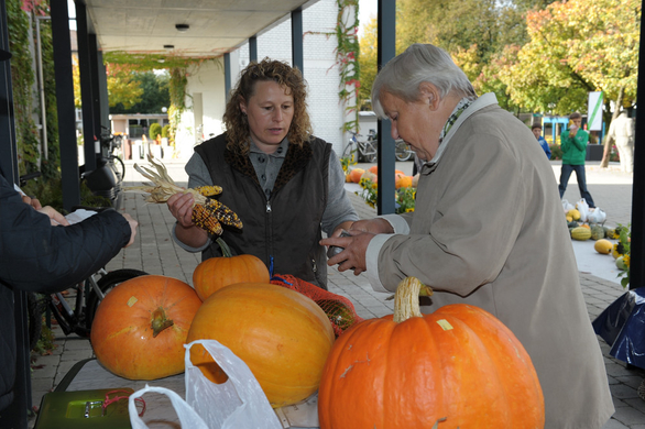 Kuerbismarkt29.jpg