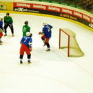 3677645.jpg