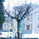 3678085.jpg