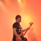 3686674.jpg
