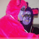 3690729.jpg