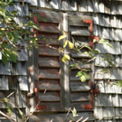 Detail an H__tte 07_10_2009.JPG