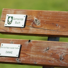 Ruhebank Gemeinde 07_10_09.JPG
