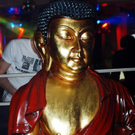 3702954.jpg