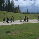 50 er Ausflug G__tzis 071.jpg