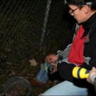 Fund vor dem Zaun zum Weiher
