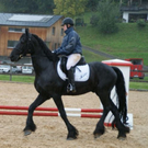 DSC01254.JPG