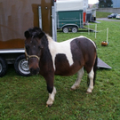 DSC05817.JPG