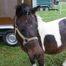 DSC05818.JPG