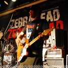 Zebrahead @ Conrad Sohm Dornbirn