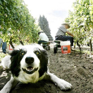 Bilder des Tages