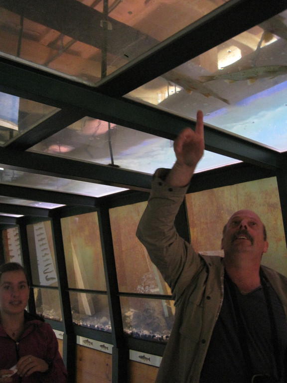 IMG_4182_JPG-1282211293