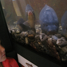 IMG_4188_JPG-1282211409