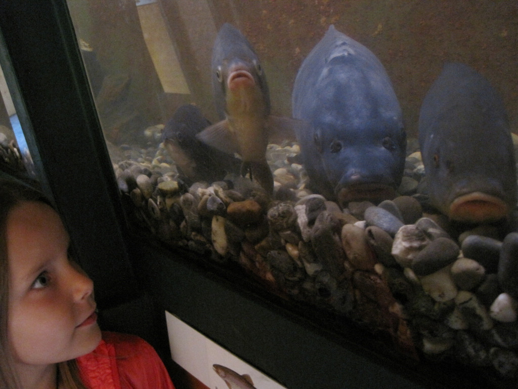IMG_4188_JPG-1282211409