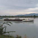 IMG_4214_JPG-1282211146