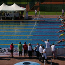 2010_07_29-OEM-130.JPG