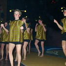 Turnerball