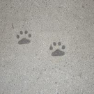 110134.jpg