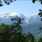 HK_Weiher _4_.jpg