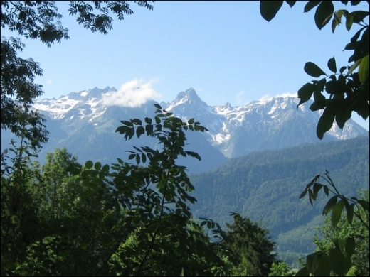 HK_Weiher _4_.jpg