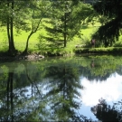 HK_Weiher _6_.jpg