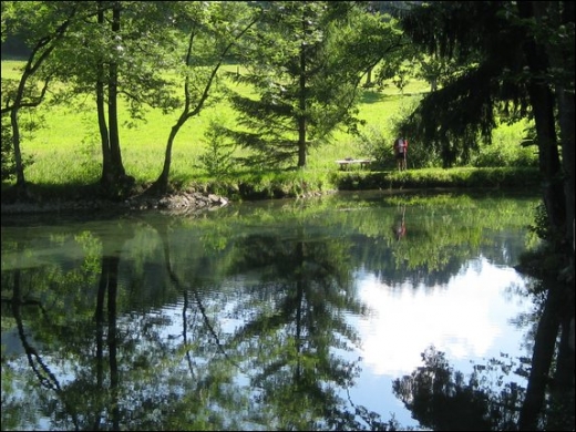 HK_Weiher _6_.jpg