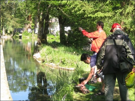 HK_Weiher _18_.jpg
