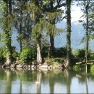 HK_Weiher _19_.jpg
