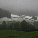 schnee2.jpg