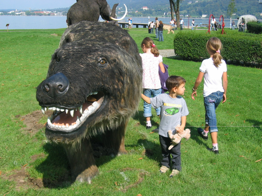 IMG_4667.JPG
