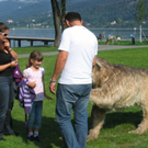 IMG_4679.JPG