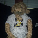 240490.jpg