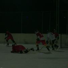 274046.jpg