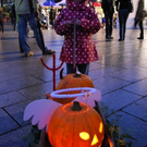 DSC_0177.JPG