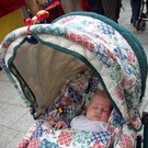335163.jpg