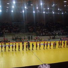 339638.jpg