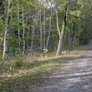 _DSC00470002_1.JPG