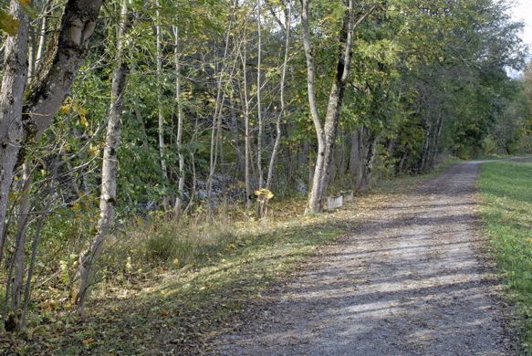 _DSC00470002_1.JPG