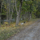 _DSC00010001.JPG
