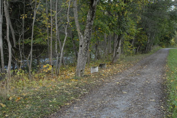 _DSC00010001.JPG