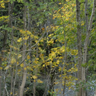 _DSC00020002.JPG