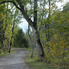 _DSC00040003.JPG