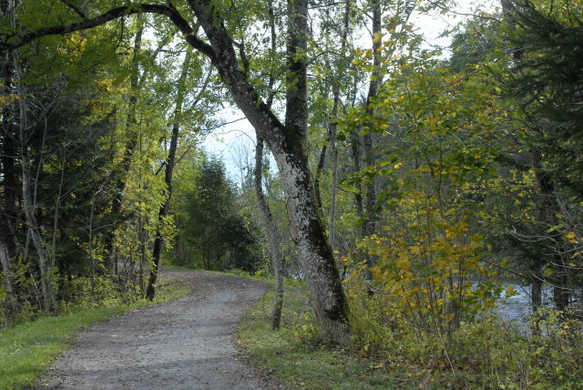 _DSC00040003.JPG