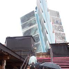 374216.jpg